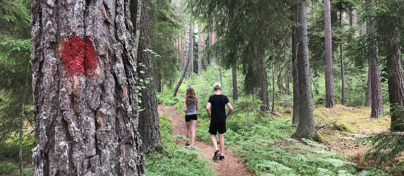 En stig i skogen där två personer vandrar längs Björnbroslingan
