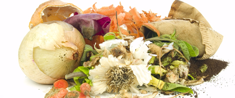 Matavfall som lök, morotsskal och sallad kan användas till kompost.