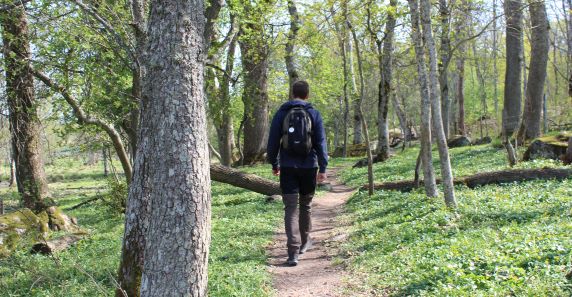 En person med ryggsäck går längs en stig i en gles skog