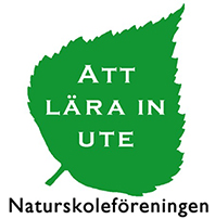 En bild på ett löv som är symbolen för naturskolorna i Sverige